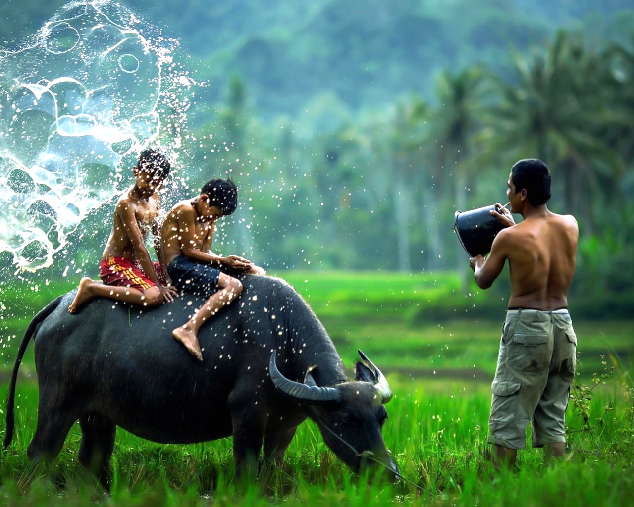 Indon kids on nature 0ez, PICT0105 @iMGSRC.RU